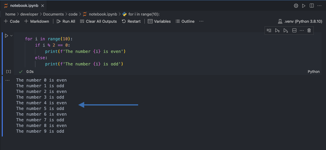 vs code jupyter notebook code cell output